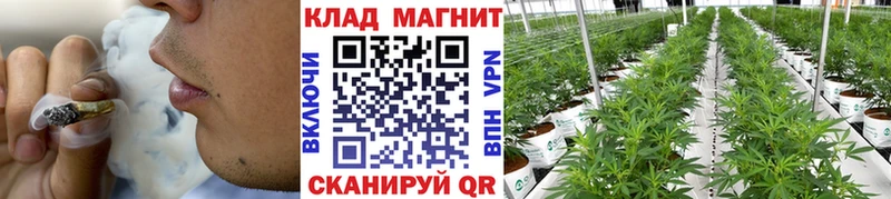 Купить наркоту Невьянск Кокаин  Амфетамин  СК  Конопля  Псилоцибиновые грибы  Гашиш 
