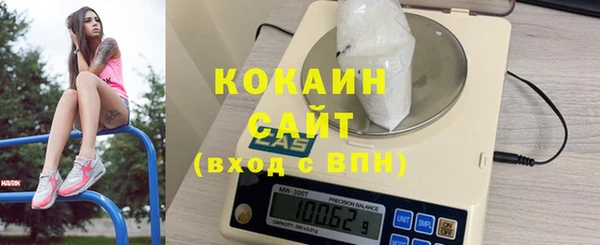 бошки Богданович