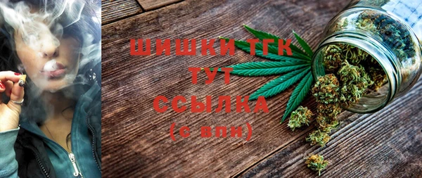 бошки Богданович